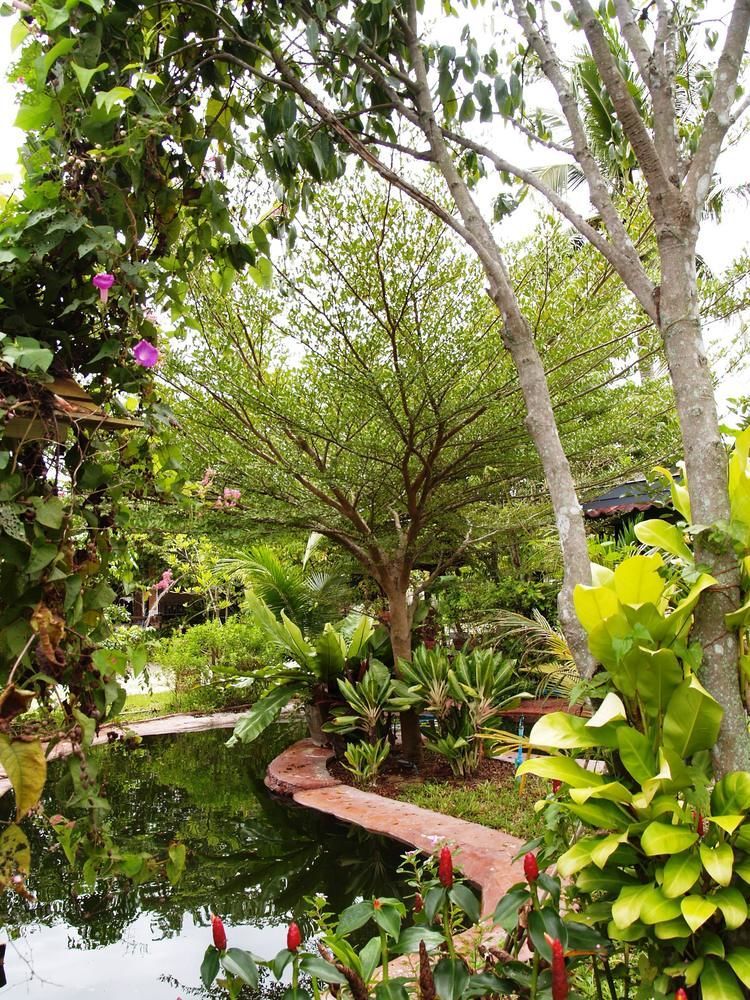 Cowboy Farm Resort Pattaya Ban Huai Yai Экстерьер фото